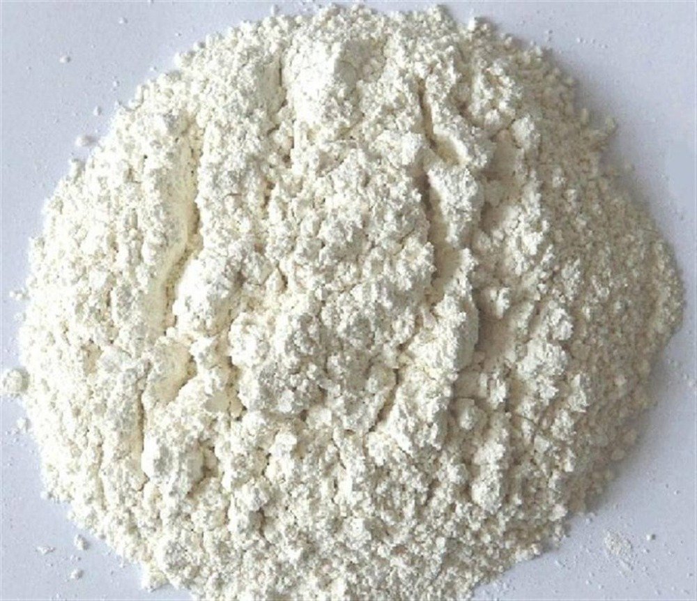 Onion Powder India