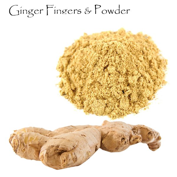 Ginger