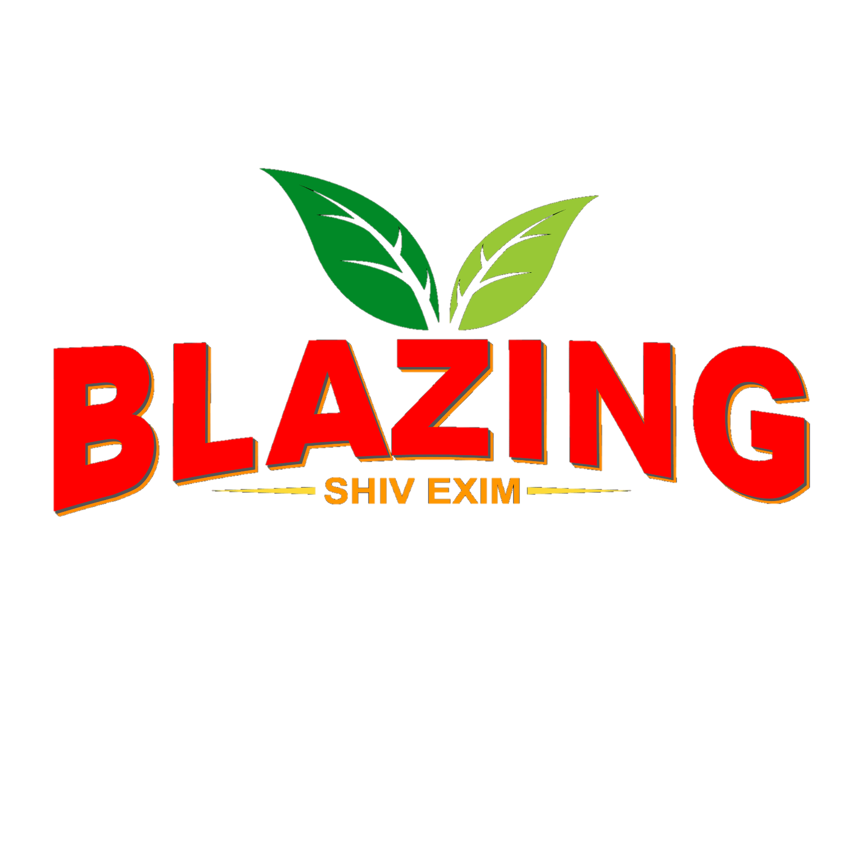 Blazing Shiv Exim logo