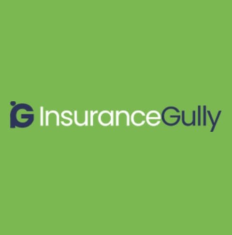 Insurance Gully logo