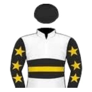 Slade Bloodstock logo