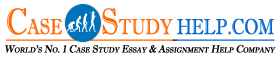 Enjoy Reasonable Online Accounting Assignment Help UK logo