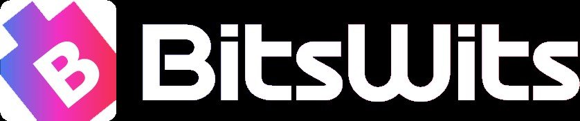 BitsWits logo
