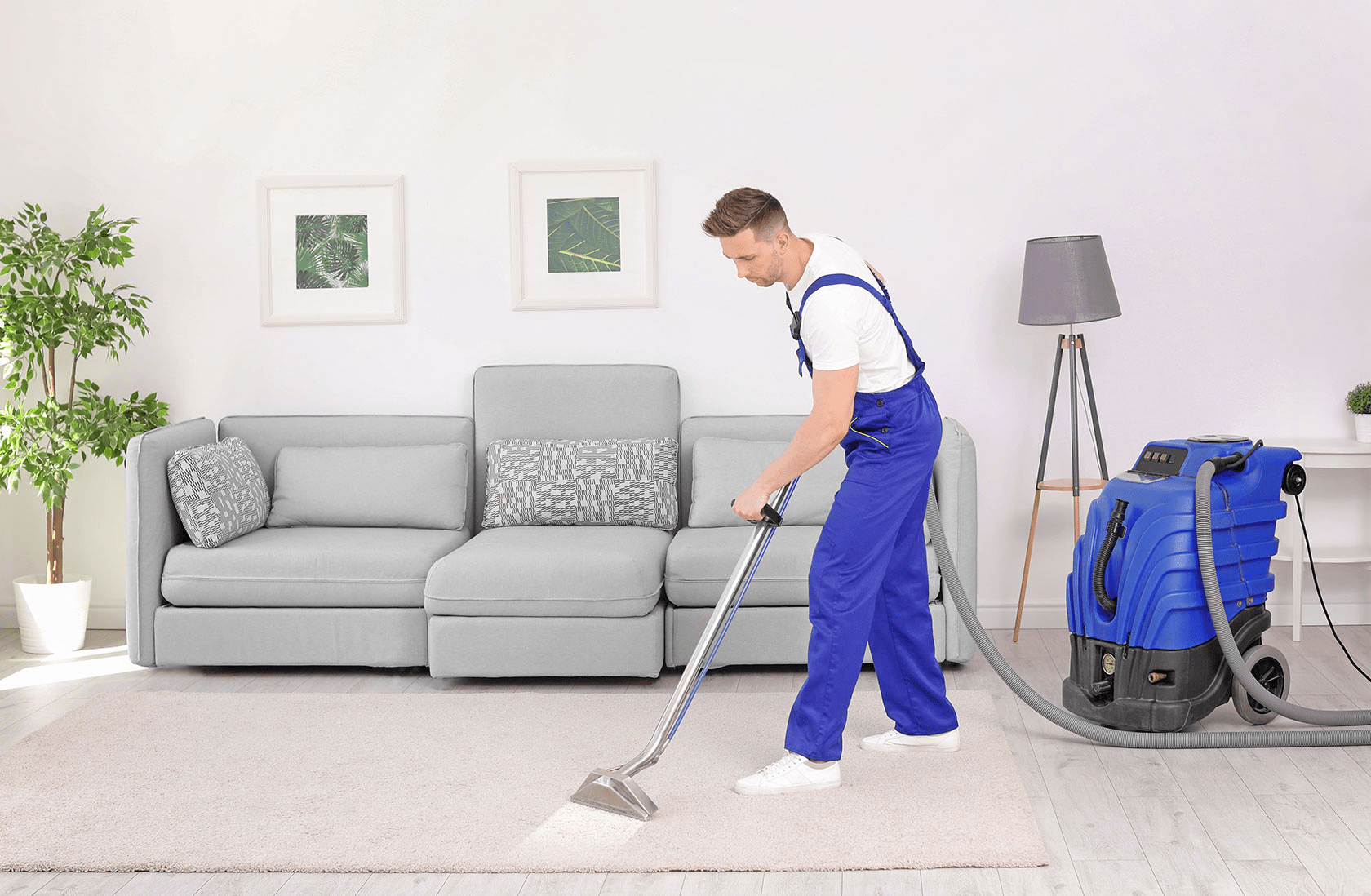 Carpet Steam Cleaner logo
