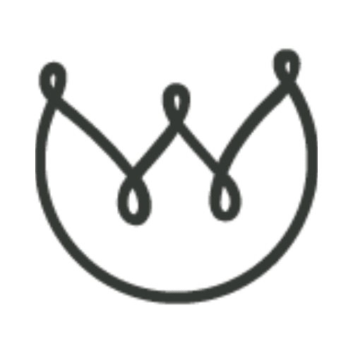 Luxury Adjustable Beds - Dreamwool logo
