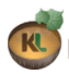 Kavalink Inc logo
