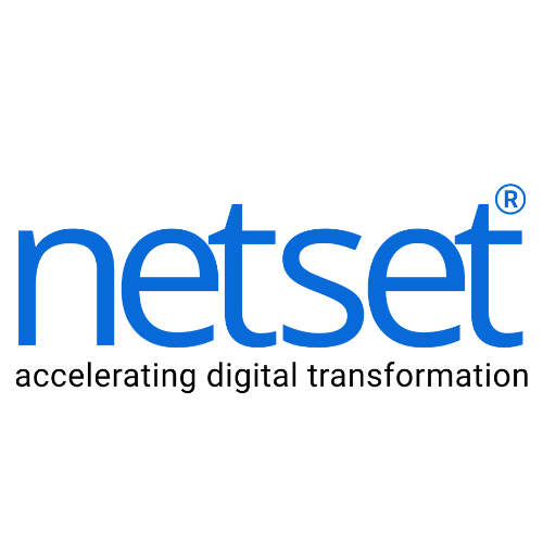 Netset Software: Smart Contract Development Company logo