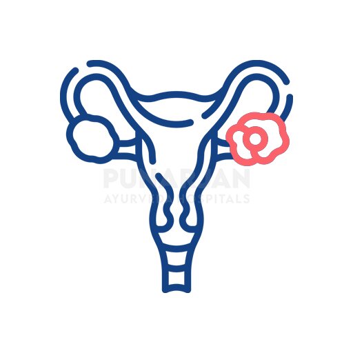 Best Ovarian Cancer Treatment Hospitals in Vijayawada logo