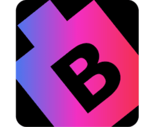 BitsWits San Francisco - Mobile App Development Company logo