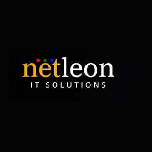 Netleon IT Solutions logo