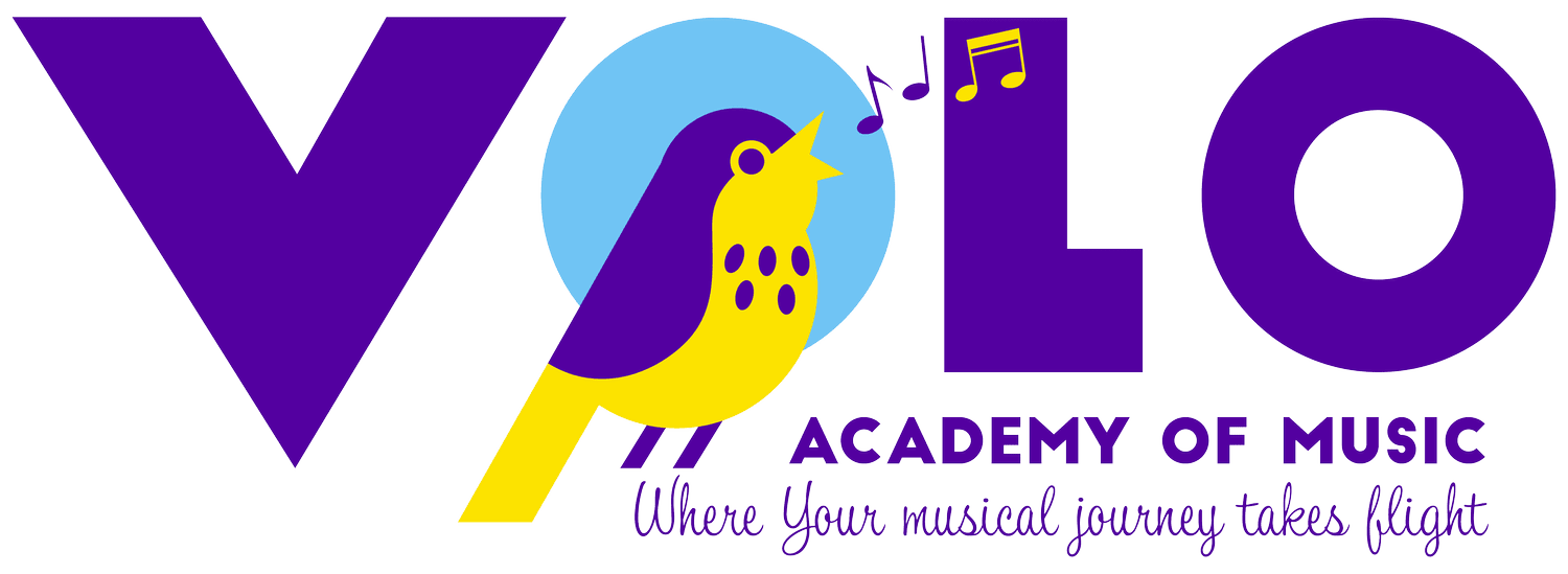 Volo Academy of Music logo