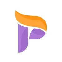 PaystubUSA logo