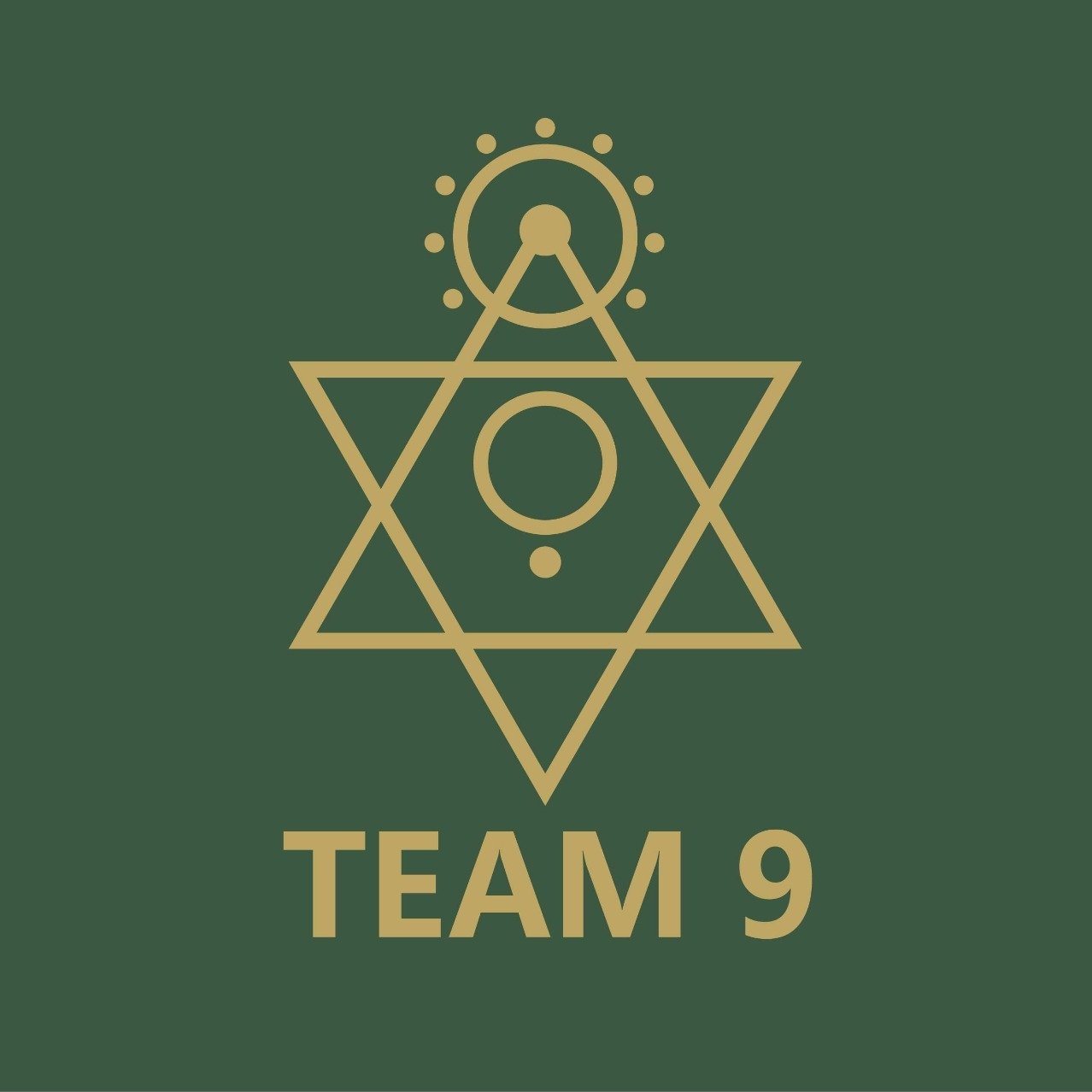 TEAM9 logo