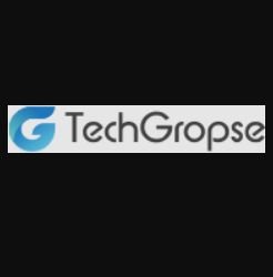 TechGropse Chicago - Mobile App Development Company logo