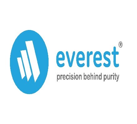 Everest Instruments Pvt. Ltd. logo