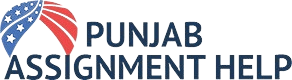 Punjab Assignment Help logo
