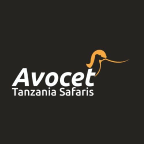 Avocet Tanzania Safaris logo
