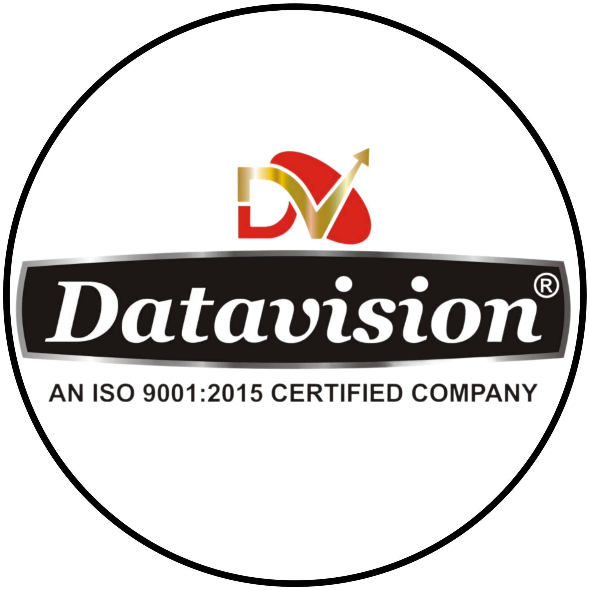Data Vision logo