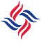 Chola MS logo