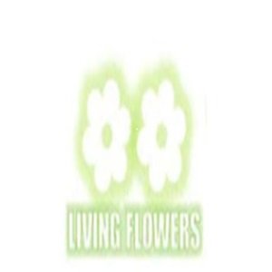 Living Flowers logo