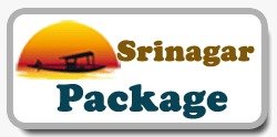 Srinagar Package logo