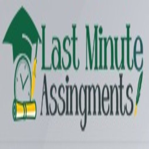 Last Minute Assignments logo