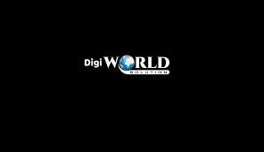 Digiworld Solution logo