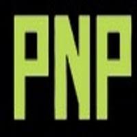 Pain Nil Powder logo