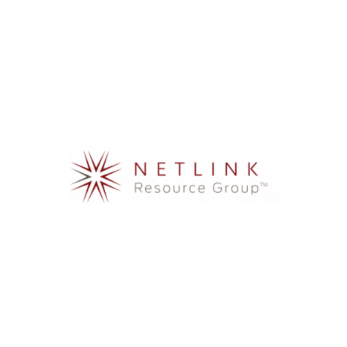 Netlink Resource Group – Custom Web Application Development logo