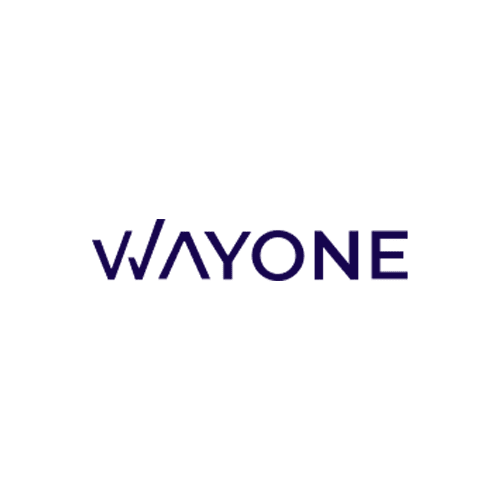 Wayone IT Solutions logo