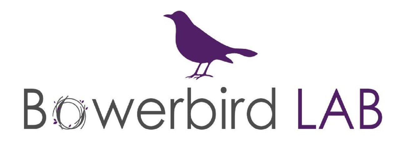 Bowerbird Lab logo