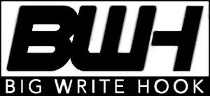 bigwritehook logo