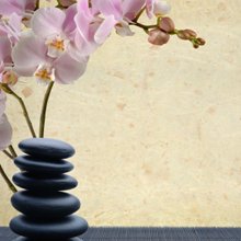 Healing Point Massage logo