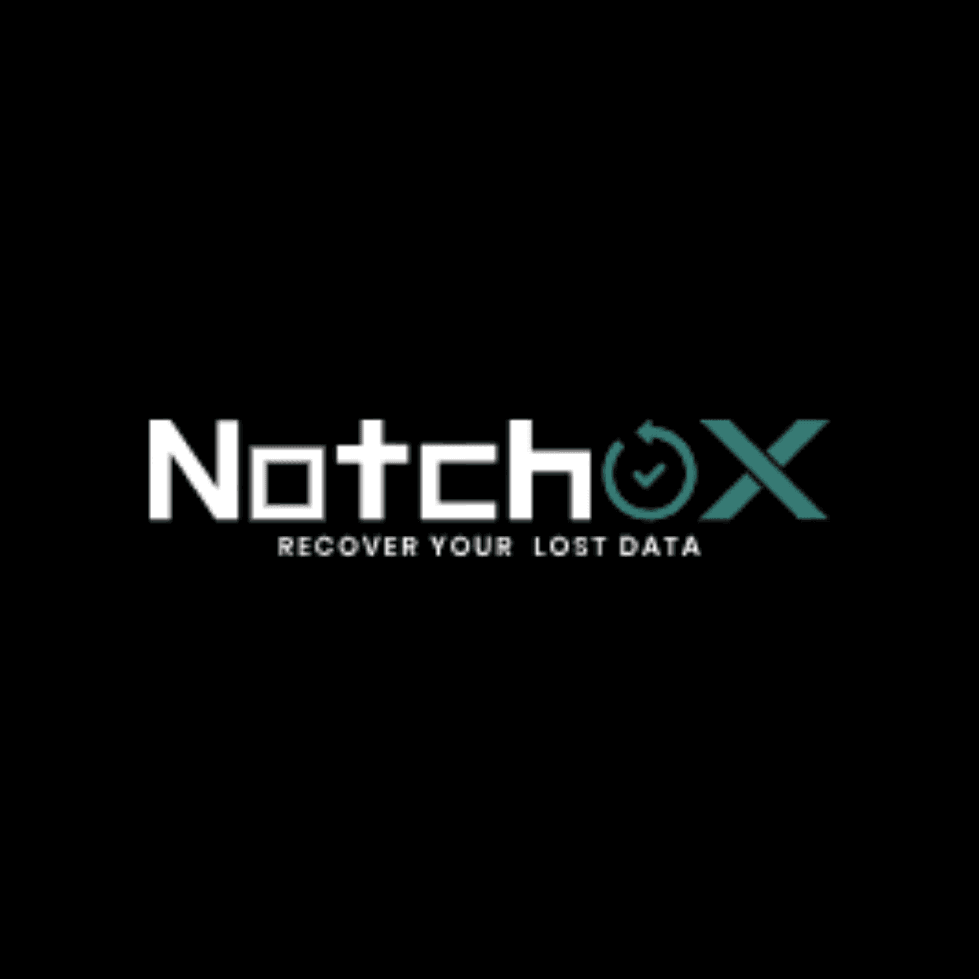 Notchox logo