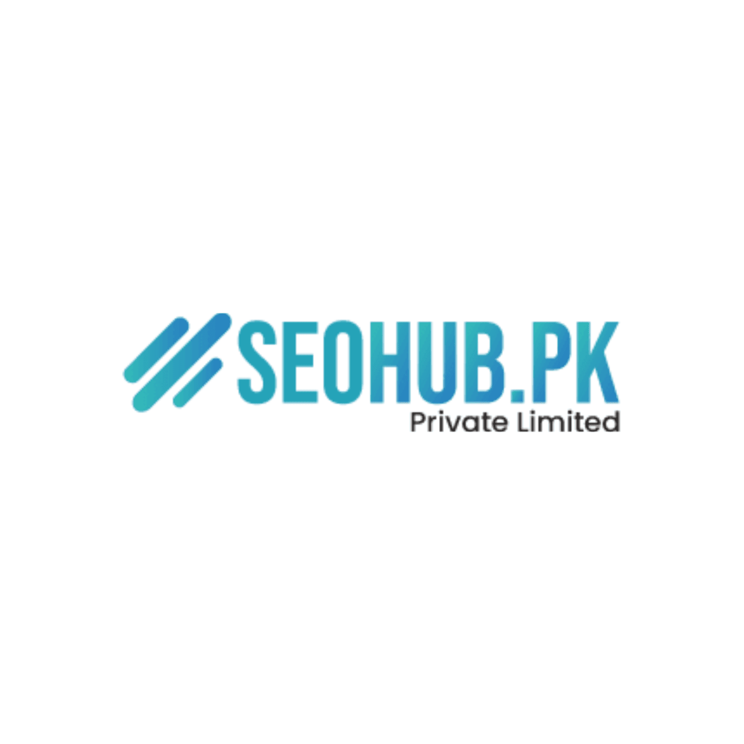 SEOHUB PK logo