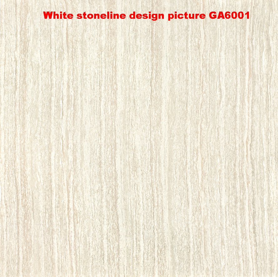 Double Loading Vitrified Unglazed Ceramic Polished Porcelain Floor Tile in Foshan (600600mm, 800800mm)
