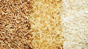 Rice, Guar Gum &amp; Juice from Pakistan logo