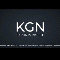 KGN EXPORTERS PVT LTD logo