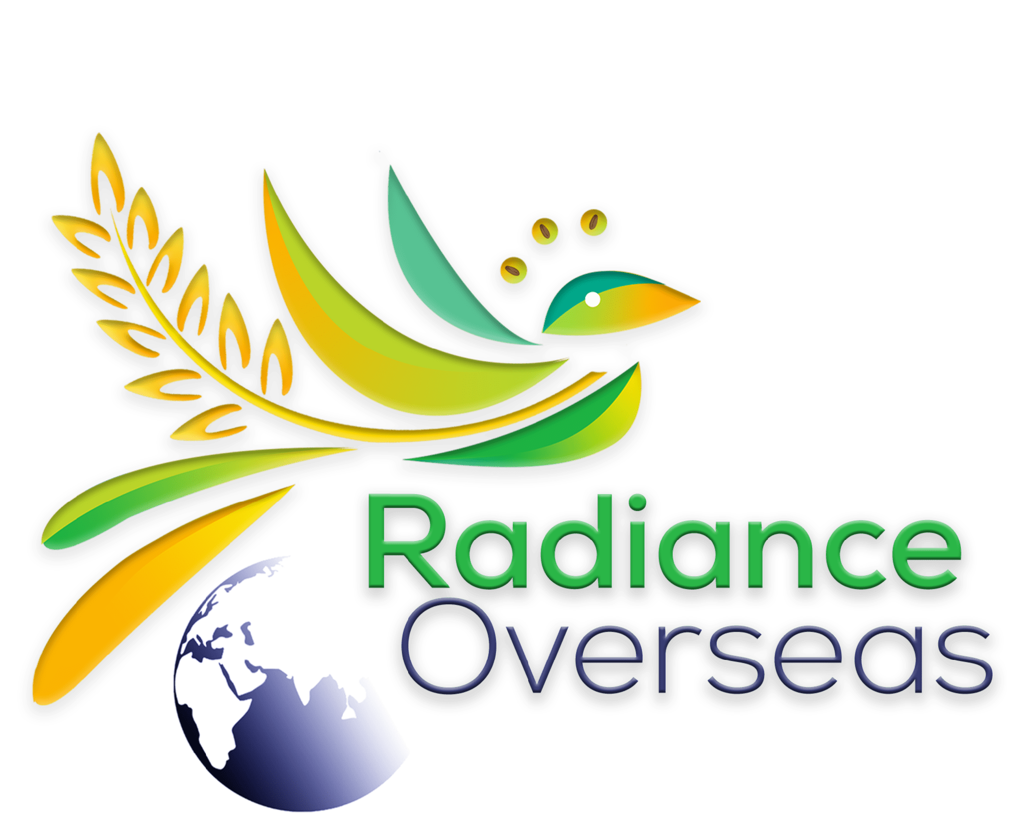 Radiance Overseas Private Limited logo