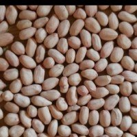 Janani Exporter Peanuts logo