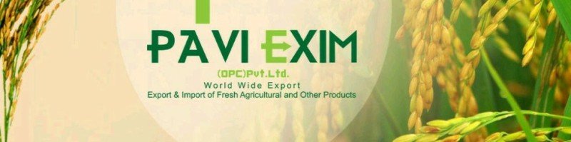 Pavi Exim logo