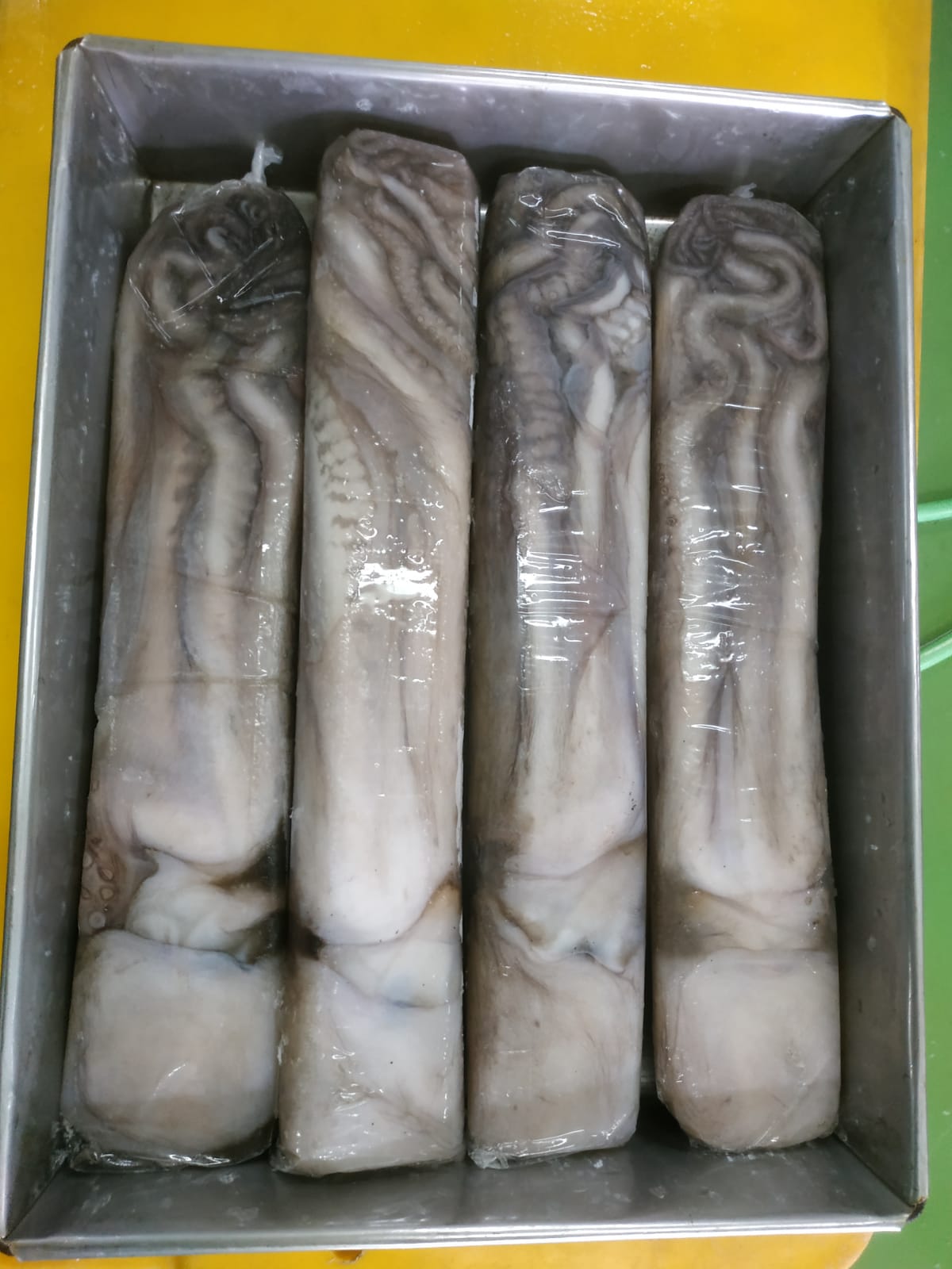 PT. KILANG GURITA INDONESIA