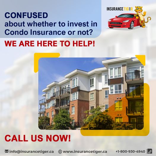 Insurance Tiger