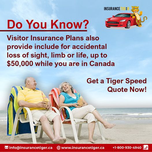 Insurance Tiger logo