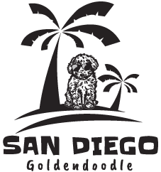 San Diego Goldendoodles
