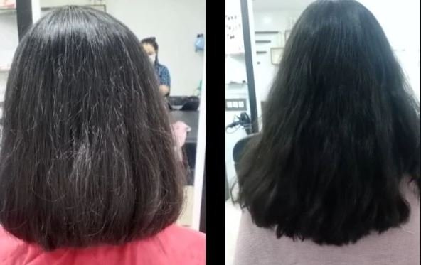 Xpressions Unisex Hair Style World