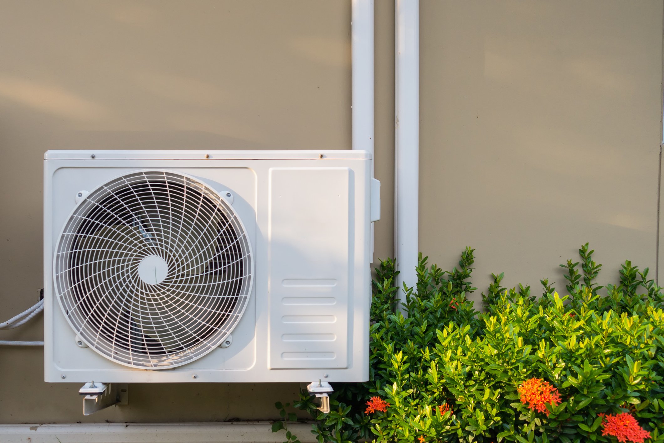 Prokop Electrical Services