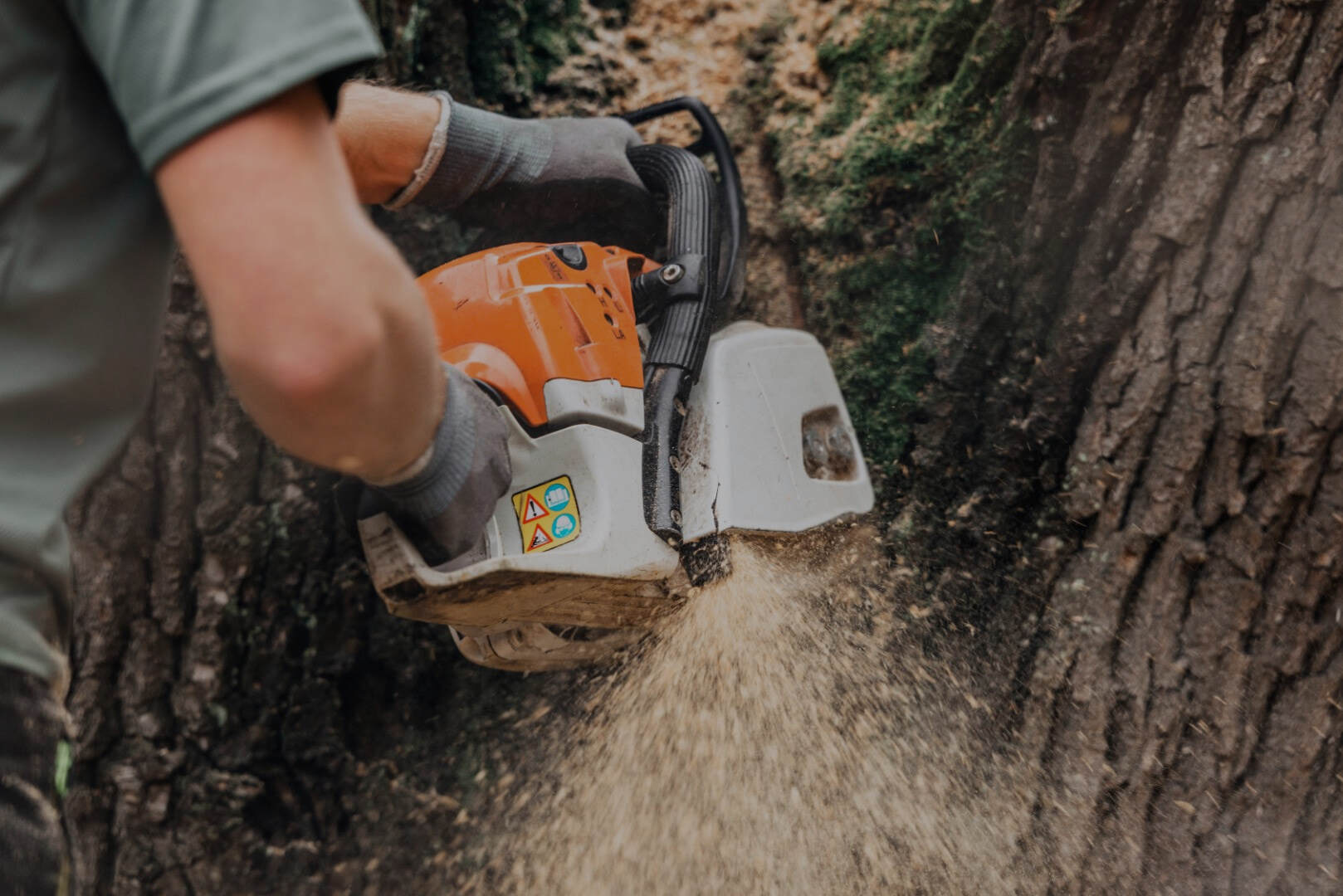 Parsippany Tree Services