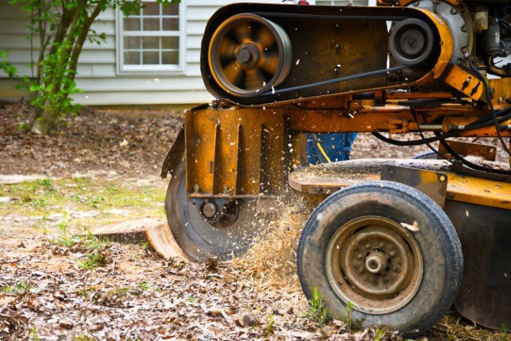 Parsippany Tree Services