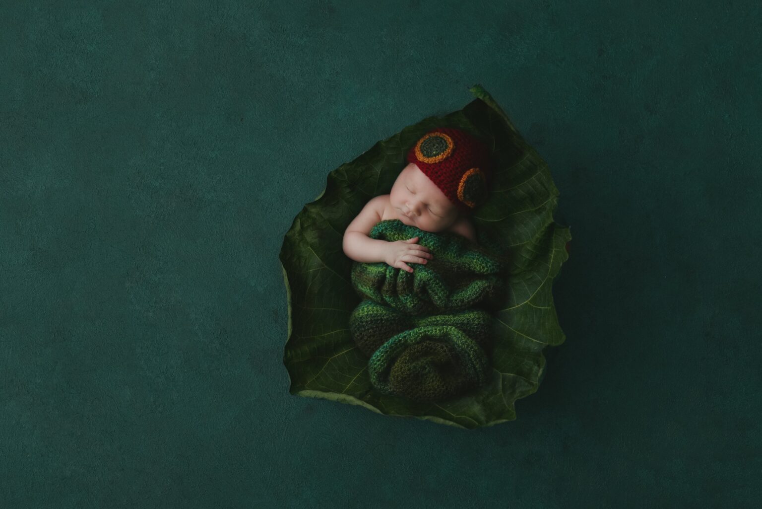 Jodie Coward Photography